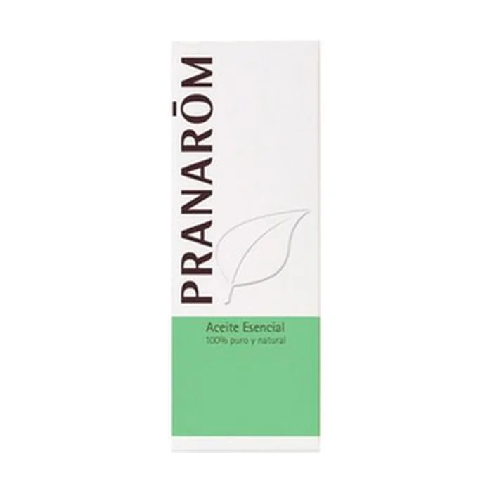 Wermutöl (Tanacetum) 5 ml essentielles Öl