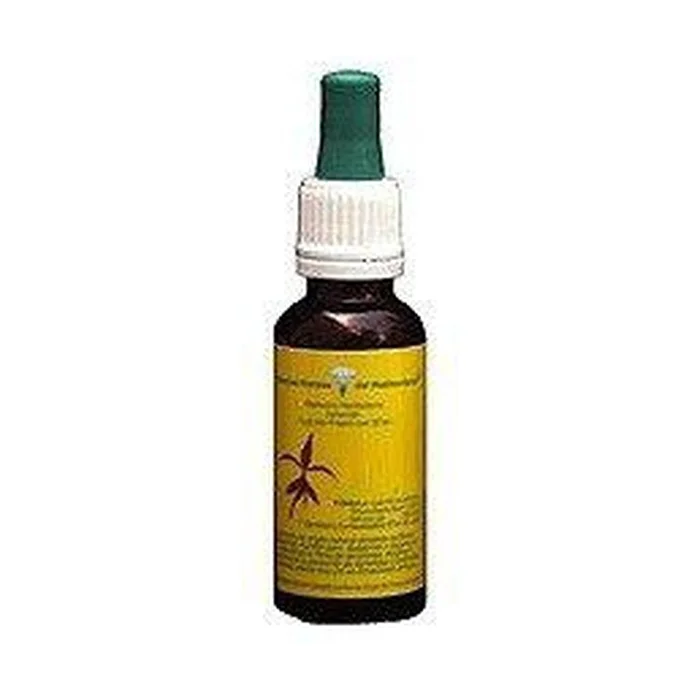 Zinnie 20 ml