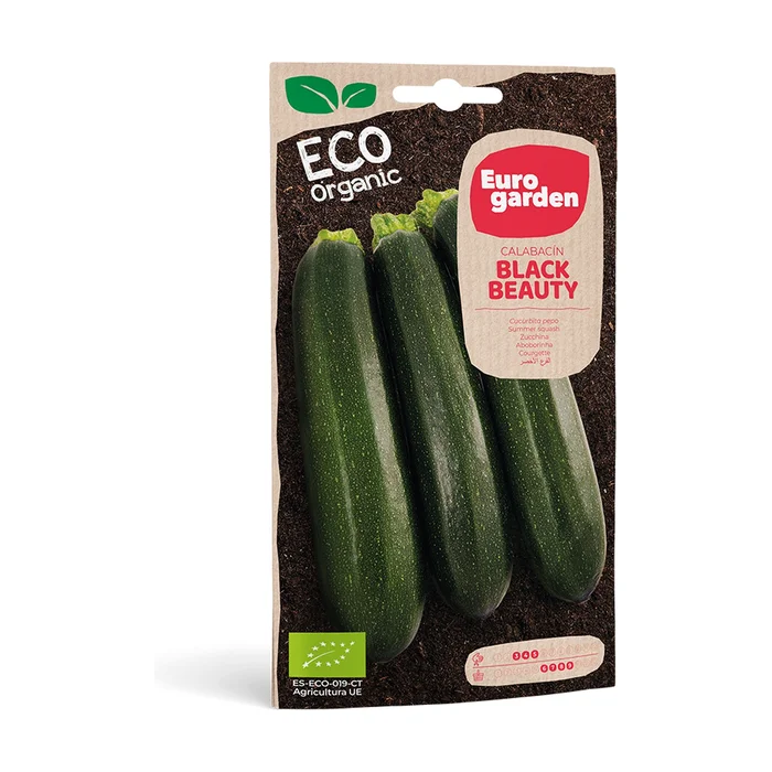 Zucchini Black Beauty Eco 6 G
