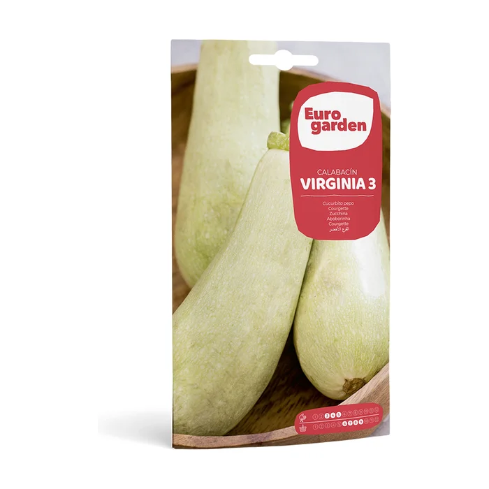 Zucchini Virginia 3 5 G